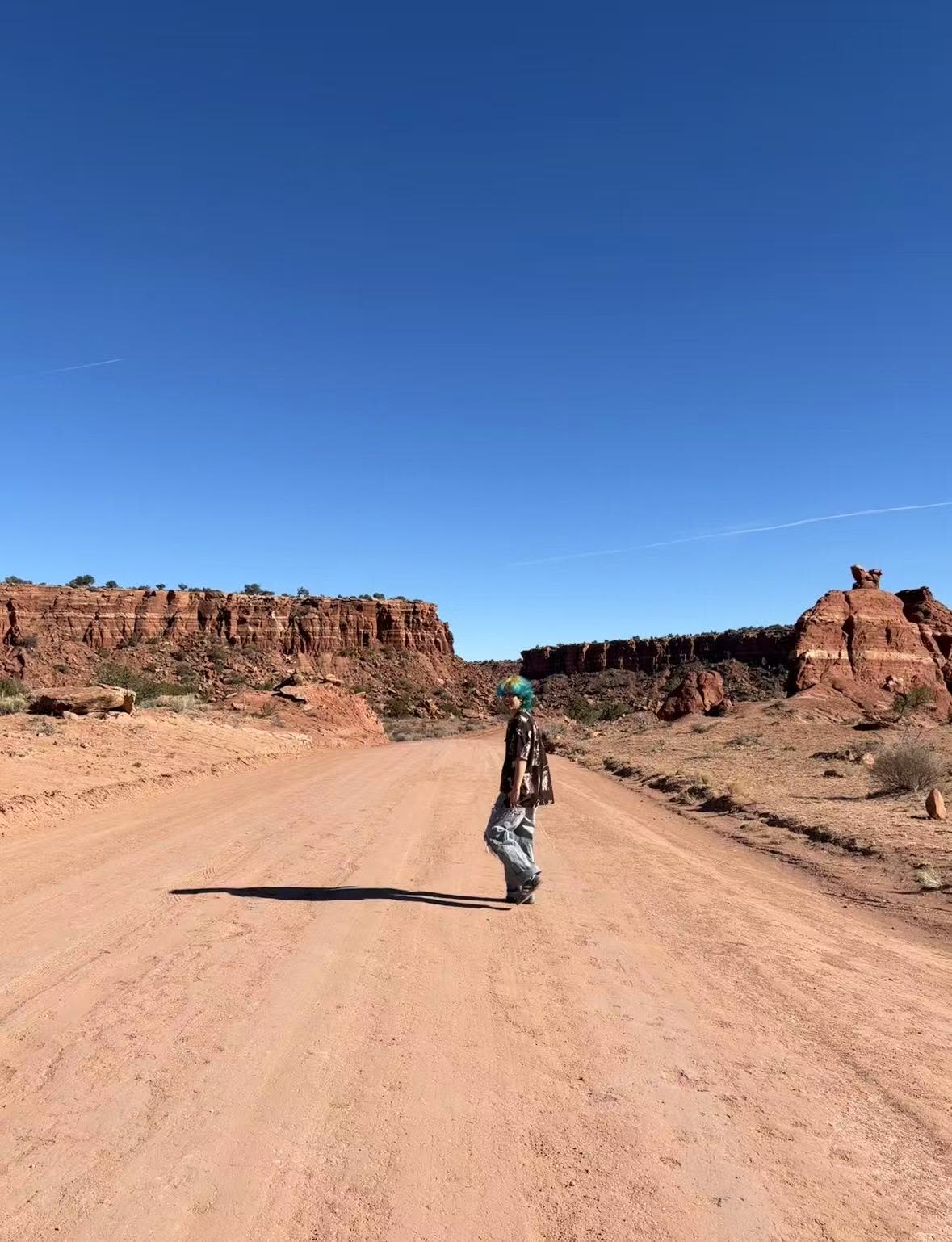 Standing on a desert road between red rock canyon walls under a clear blue sky